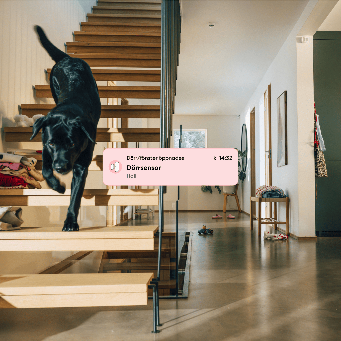 Framna-Case-Alf-Image2-1x1