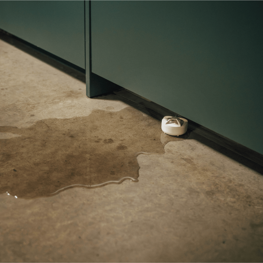 Framna-Case-Alf-Image3-1x1