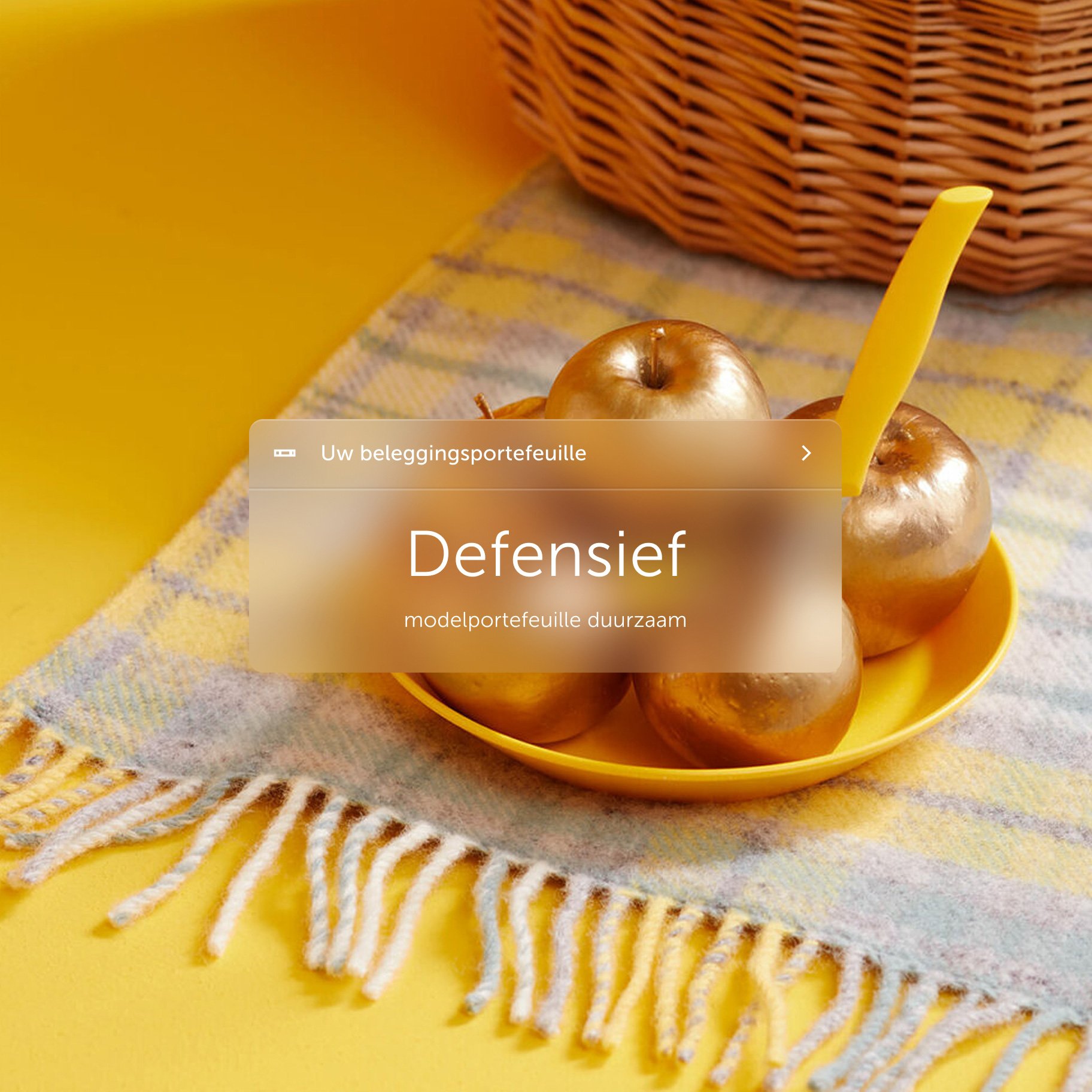 Framna-Case-BrandNewDay-Image-yellow2-1x1