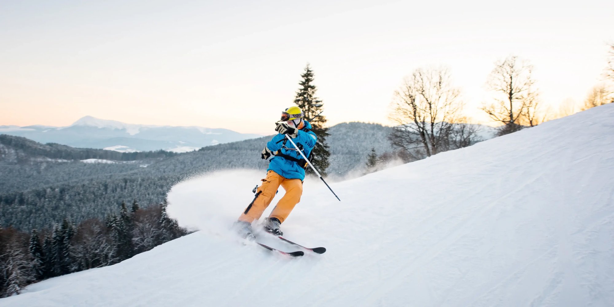 Framna-Case-Alf-Case_OverviewV2-2x1