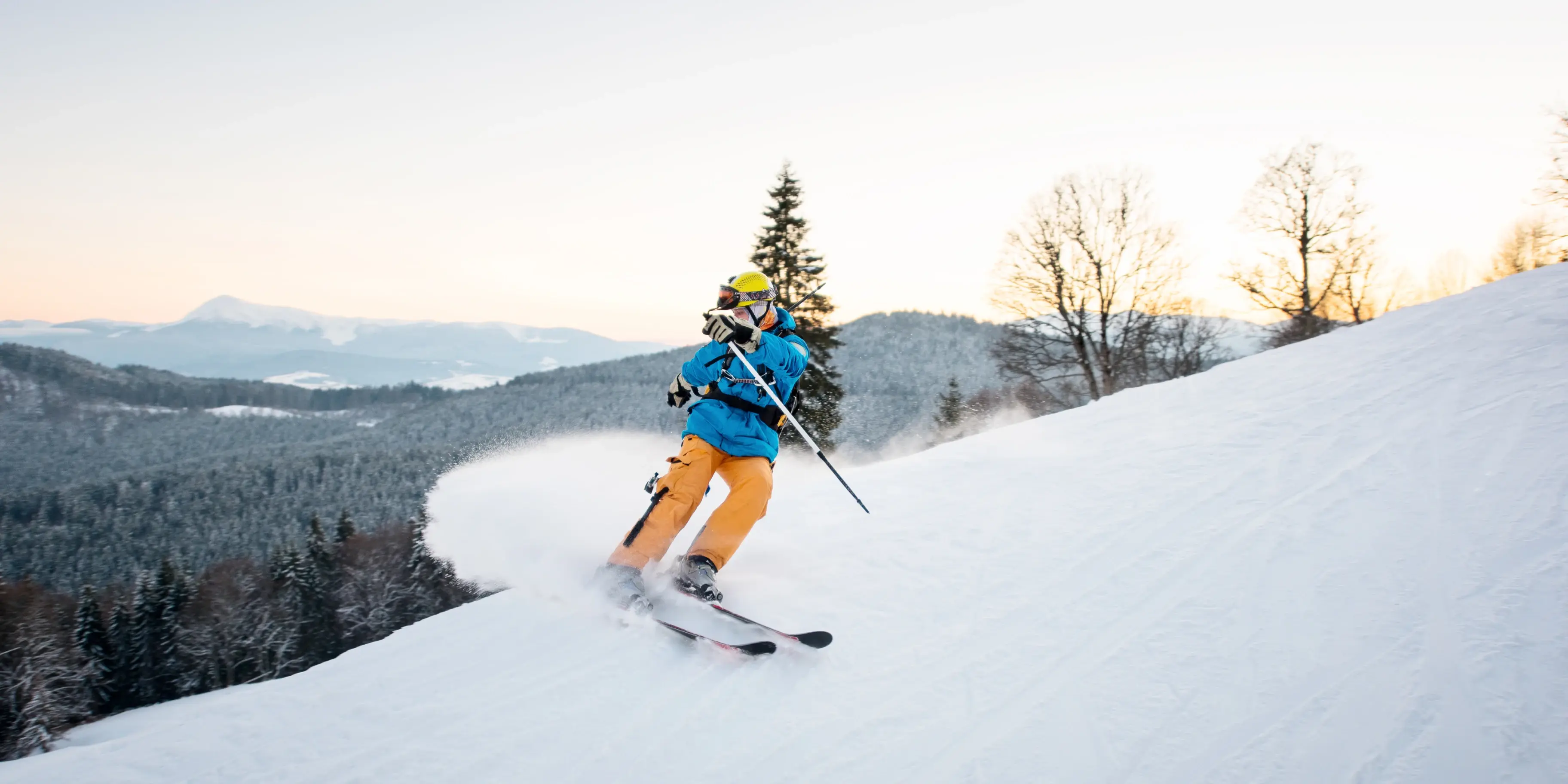 Framna-Case-Alf-Case_OverviewV2-2x1